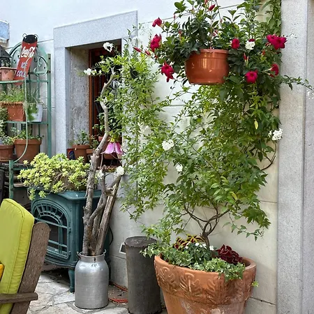 Ivana Apartment Opatija