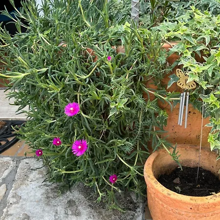 Ivana Apartament Opatija