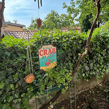 Ivana Apartament *