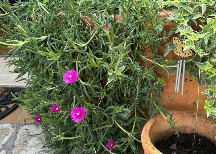 Ivana Apartament Opatija